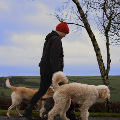 We provide a unique dog walking service.